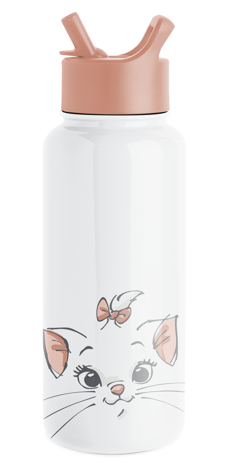 Disney Summit Water Bottle with Straw Lid - Aristocats