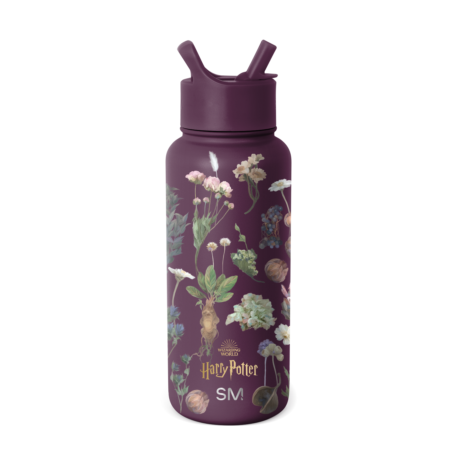 Harry Potter Summit Water Bottle with Straw Lid - Default Title